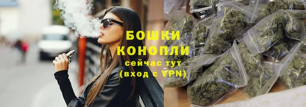 PSILOCYBIN Богородицк