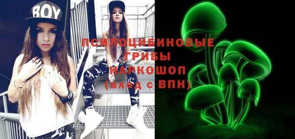 PSILOCYBIN Богородицк