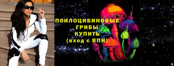 спиды Богородск