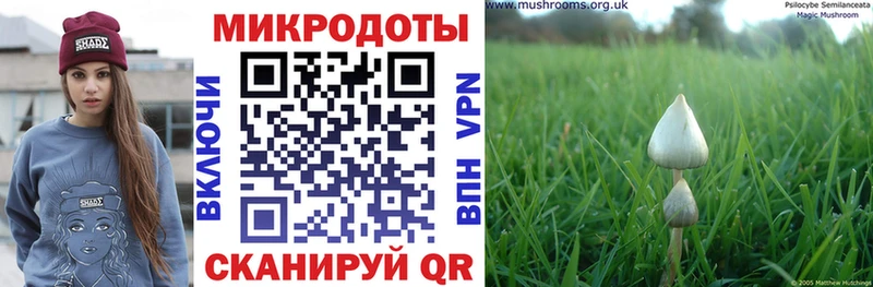 ОМГ ОМГ сайт  закладки  Вязники  Галлюциногенные грибы мицелий 